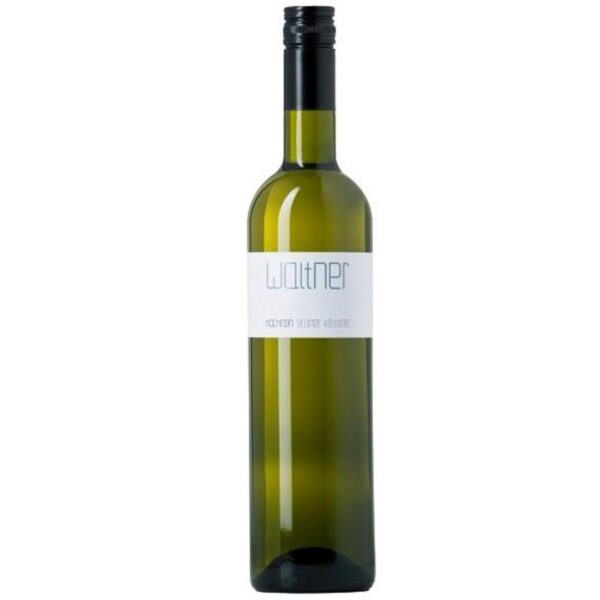 2023 Grüner Veltliner "Hochrain"