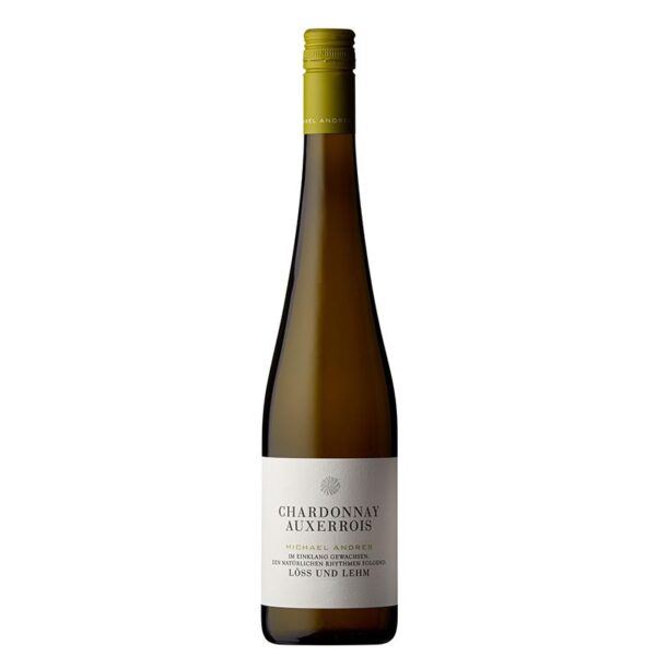 2023 Chardonnay - Auxerrois Löss und Lehm